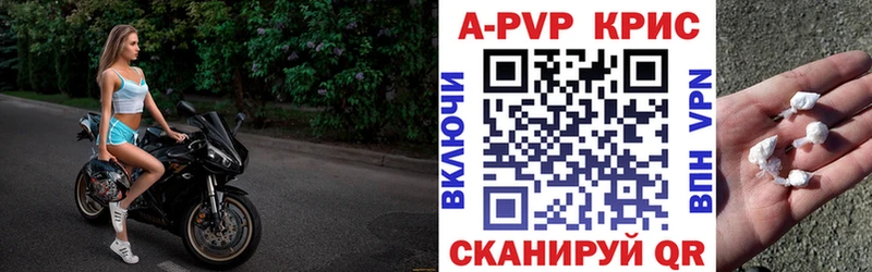 как найти наркотики  Артём  мориарти Telegram  A PVP СК  omg зеркало 