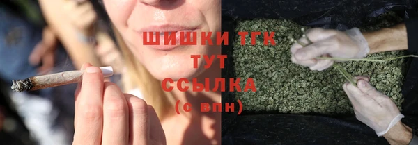 прущие грибы Абаза