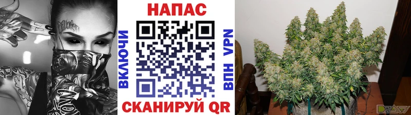Бошки Шишки гибрид  Артём 